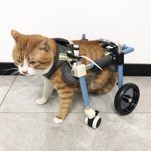 Adjustable Pet Wheelchair for Dogs, Cats and Rabbits