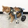 Adjustable Pet Wheelchair for Dogs, Cats and Rabbits view 1