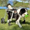 Adjustable Wheelchair for Small Dogs, Lightweight 4-Wheel Pet Mobility Aid view 2