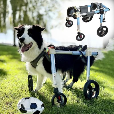 Adjustable Dog Wheelchair for XXL Dogs, 2- and 4-Wheel Mobility Support