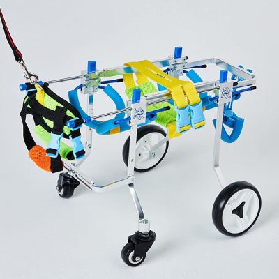 4-Wheel Wheelchair for Paralyzed Dogs, Full Support, XXS