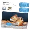 Gatuida Ceramic Bowl for Hamsters and Small Pets - 2 Pack view 3