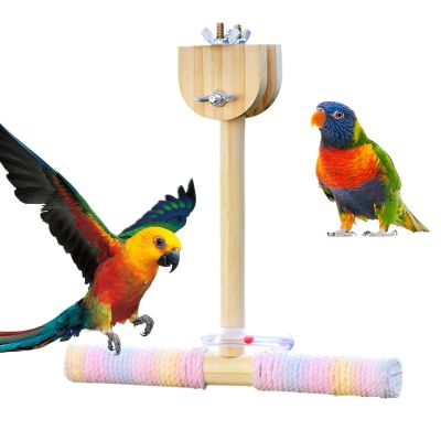 Parakeet Stand | Cotton Rope Perch Swing Toy