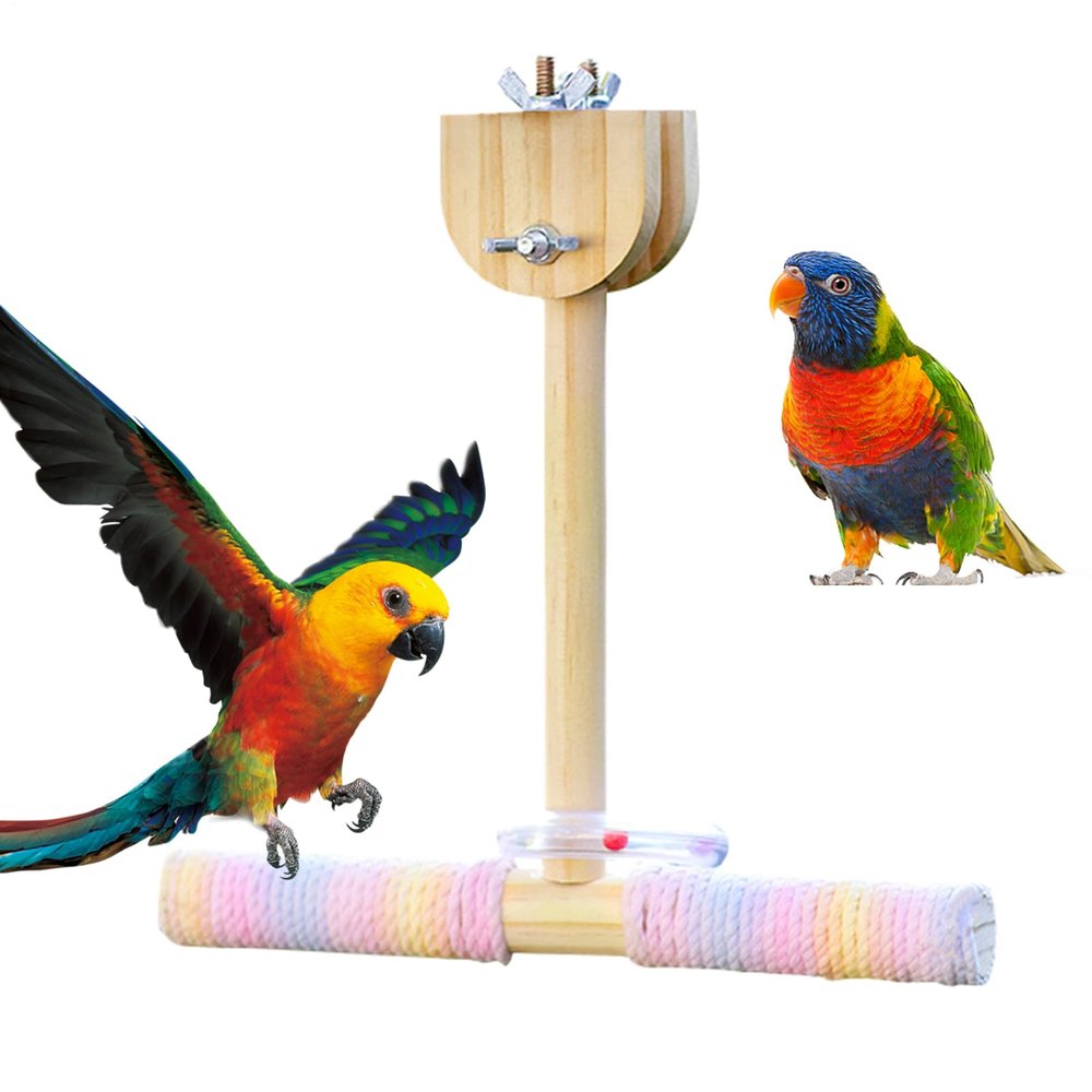 Parakeet Stand | Cotton Rope Perch Swing Toy