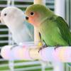 Bird Perch, Natural Swing and Chew Toy view 2