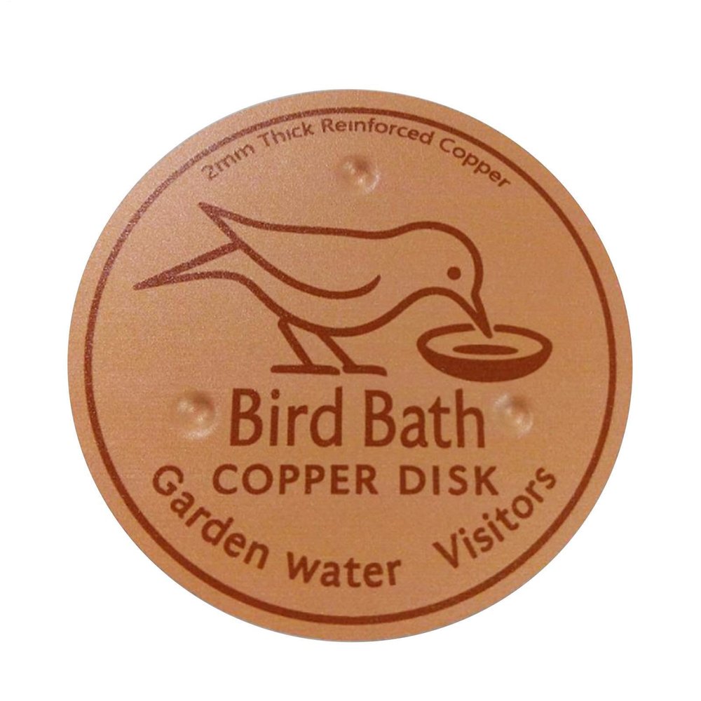 Copper Birdbath Cleaning Disc