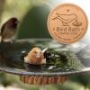 Copper Birdbath Cleaning Disc view 4