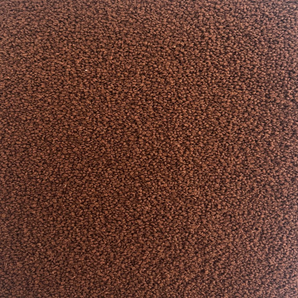 Premium Discus Granules Staple Food for Beautiful, Healthy Discus Fish (500 g)