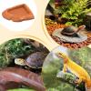 Turtle Feeding Bowl view 4