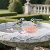 Copper Birdbath, Decorative Disc Bowl, 3.94 x 3.94 x 0.08 in view 3