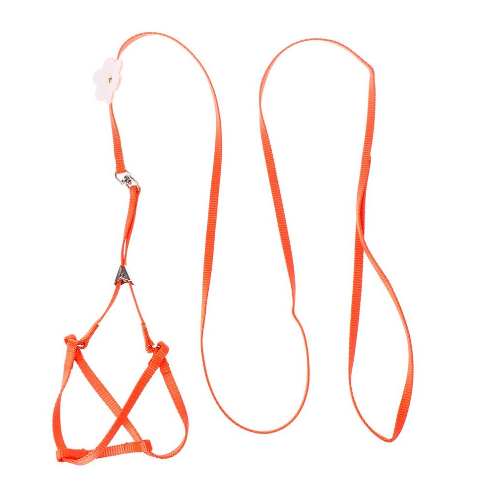 Adjustable Soft Harness with Elastic Leash for Birds