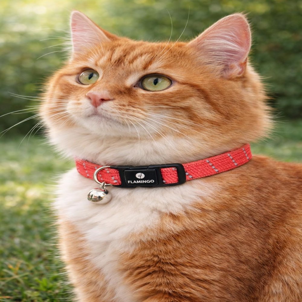 Cat Collar - Elza Coral Red 20-34 cm Elastic Nylon Reflective with Bell