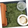 Decorative Cotton Reptile Grass, Cuttable for Turtles view 3