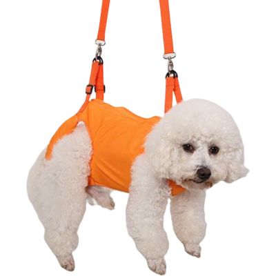 Adjustable Dog Lift Harness for Hind-Leg Support