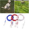 Dog Tie-Out Cable and Stake Set, 24 cm, 16 m, 10 m, Steel Wire for Small to Large Dogs, Outdoor, Yard, Beach, Camping view 2