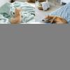 Huvqianu Automatic Pet Feeder and Water Dispenser Kit view 4