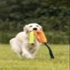 Flamingo Dog Toy Fauxtra Tug Toy view 4