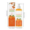 Persimmon Body Wash for Body Odor Control, Gentle Daily Formula, 2-Pack view 3