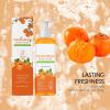 Persimmon Body Wash for Body Odor Control, Gentle Daily Formula, 2-Pack view 4