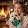 Holiday Cotton Rope Dog Toy Set for Small to Large Dogs view 3