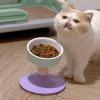 FIRSTXIU Adjustable-Height Angled Cat and Small Dog Feeding Bowl view 3