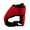 Cotton Dog Hygiene Underwear for Female Dogs and Puppies, 2-Pack view 3