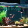 Generic Aquarium Spawning Mop view 3