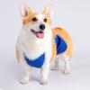 High-Absorbency Washable Belly Band view 4