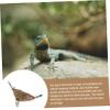 TOYANDONA Seaweed Hammock for Bearded Dragons, Brown, Small Reptile Accessory view 3