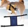 Harilla Dog Diaper for Female Dogs, Navy Blue L view 4