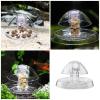 Reusable Snail Traps for Effective Garden Snail Control view 2