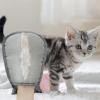 Ylnailky Pet Hair Removal Gloves - 2 Pack view 2