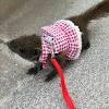 Rabbit Harness Set for Small Pets view 2