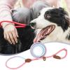 Pet Leash, Nylon Harness for Pets, Anti-Pull Leash, Accessories for Walks, Hiking, and Camping for Small, Medium, and Large Breeds view 2