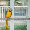 Chew-Resistant Hummingbird Perch Swing view 2