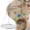 Chew-Resistant Hummingbird Perch Swing view 3