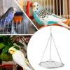 Chew-Resistant Hummingbird Perch Swing view 4