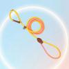 Dog Harness, Nylon Leash for Walks view 2