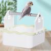 Bird Perch Stand and Tabletop Play Stand view 4