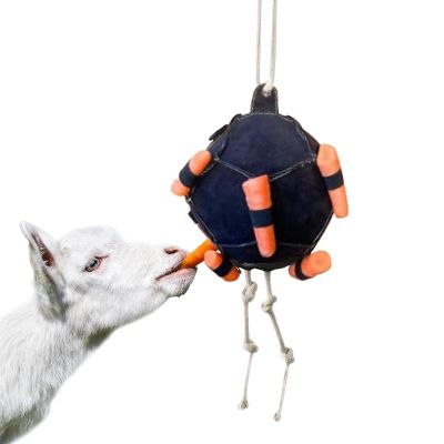 Interactive Treat Dispenser and Carrot Ball for Farm Animals