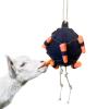 Interactive Treat Dispenser and Carrot Ball for Farm Animals view 1
