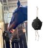 Interactive Treat Dispenser and Carrot Ball for Farm Animals view 3