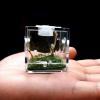 Transparent Insect Breeding Box view 3
