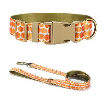 FIRSTXIU Pumpkin Dog Collar and Leash Set