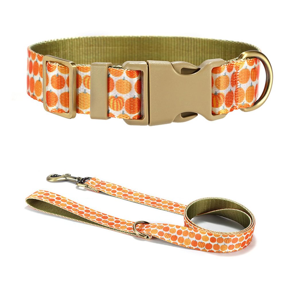 FIRSTXIU Pumpkin Dog Collar and Leash Set