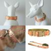 FIRSTXIU Pumpkin Dog Collar and Leash Set view 2