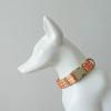 FIRSTXIU Pumpkin Dog Collar and Leash Set view 4