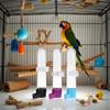 Hanging Water Dispenser for Parakeets view 3