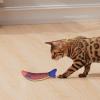 Cat Dental Toy - Plush Saury Fish for Kittens view 2