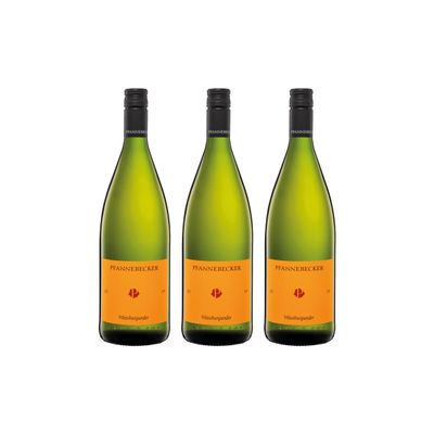 Pfannebecker Dry Pinot Blanc White Wine, Germany, Organic, 3 x 1 L + FeinWert E-Book